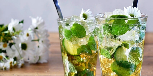 Pickwick Munt Iced Tea