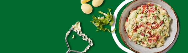 klassieke andijviestamppot