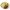 Culivers hertenstoverij met paddenstoelen, herfstgroenten en aardappelpuree met bieslook (3) voorkant
