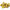 kiwi sungold bak 4 stuks