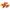 Hollandse Elstar zak 1.5 kilo