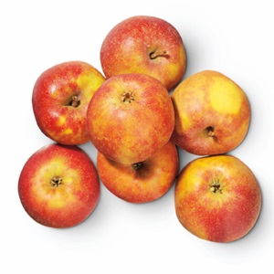 Goudreinet appels