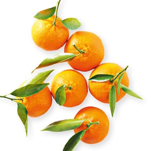 mandarijn met blad