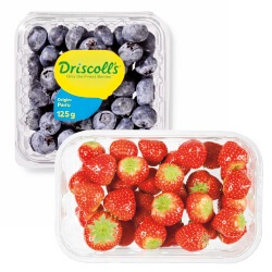 aardbeien of blauwe bessen