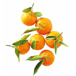 mandarijnen met blad
