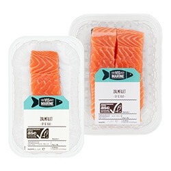 Vis Marine zalmfilet op huid