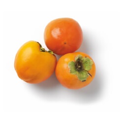 kaki schaal 4 stuks