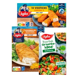 Iglo vis of groente idee