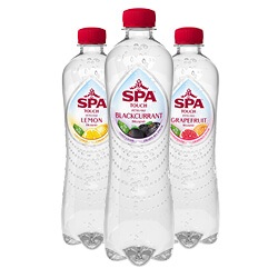 SPA Fruit of Touch fles 500 ml