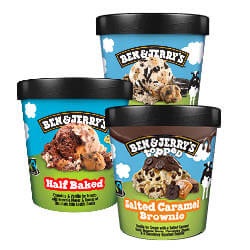 Ben & Jerry beker 427/465 ml