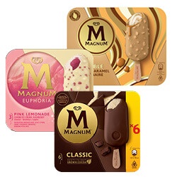 Magnum doos 3/6 stuks