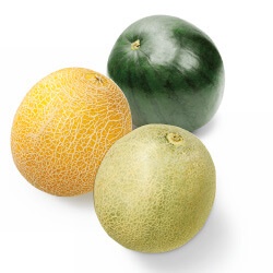 galia, cantaloupe of mini watermeloen