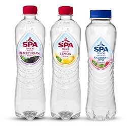 Productfoto van SPA touch en fruit fles 400/500 ml