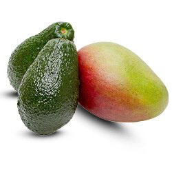 avocado of mango per stuk
