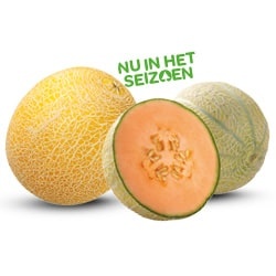 Galia of cantaloupe meloen