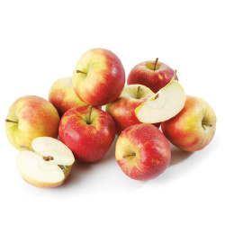 Productfoto van Hollandse Elstar zak 1.5 kilo