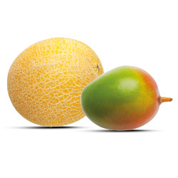 Productfoto van Galia meloen of eetrijpe mango