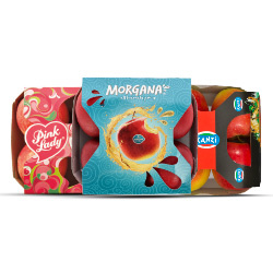 Productfoto van alle appels op schaal 4 stuks