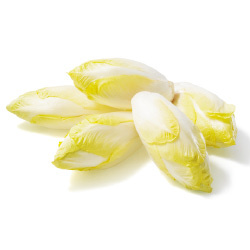 Hollandse witlof zak 500 gram