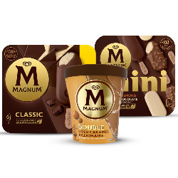 alle Magnum doos 3/4/6 stuks