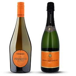 alle brut, prosecco of champagne fles 750 ml