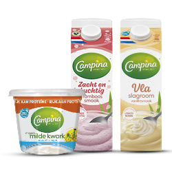 alle Campina vla Pak 1 liter of kwark bak 500 gram