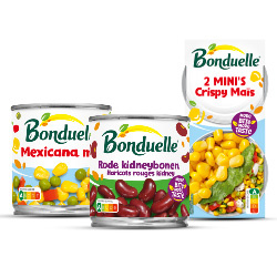 alle Bonduelle 2-pack mini's of blik 300-400g