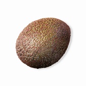 avocado voorkant