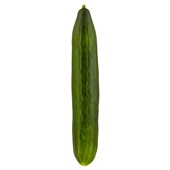 biologische komkommer voorkant
