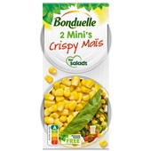 Bonduelle groentenconserven Crispy mais 2x minipacks voorkant
