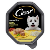 Cesar Senior 10+ Hondenvoer Kip En Rijst in Gelei voorkant