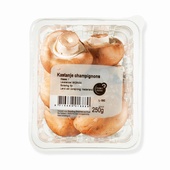 champignons kastanje voorkant