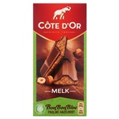 Côte d'Or chocolade bonbonbloc praline noisette voorkant