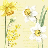 Duni Spring daffodil Servetten voorkant