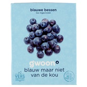 g'woon diepvriesfruit blauwe bessen voorkant