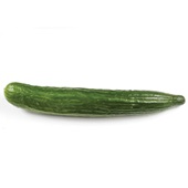 komkommer  voorkant