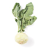 koolrabi