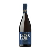 Kvadrat rode wijn pinot noir voorkant