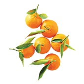 mandarijnen met blad voorkant