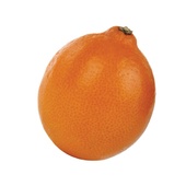 mineola's voorkant