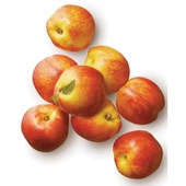 nectarine voorkant
