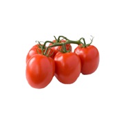 tomaat pomodori voorkant