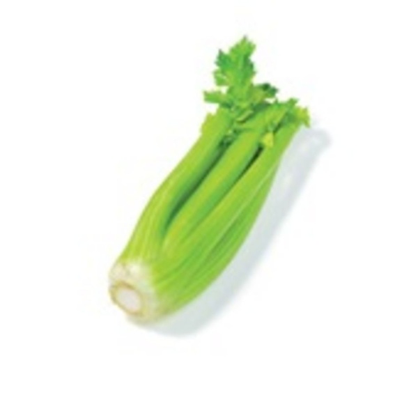 bleekselderij voorkant