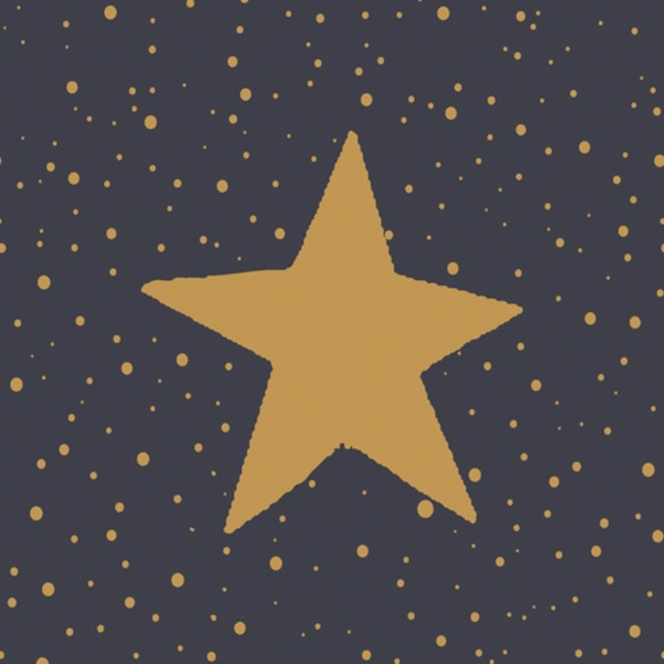 Duni servetten sparkles black  voorkant