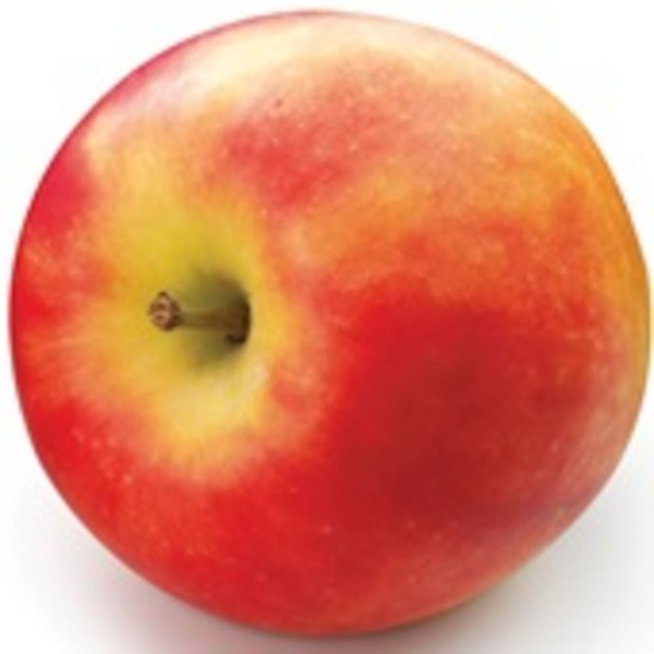 Elstar appel voorkant