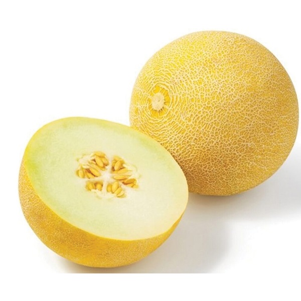 galia meloen voorkant