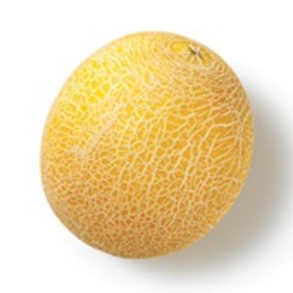 galia meloen galia meloen voorkant