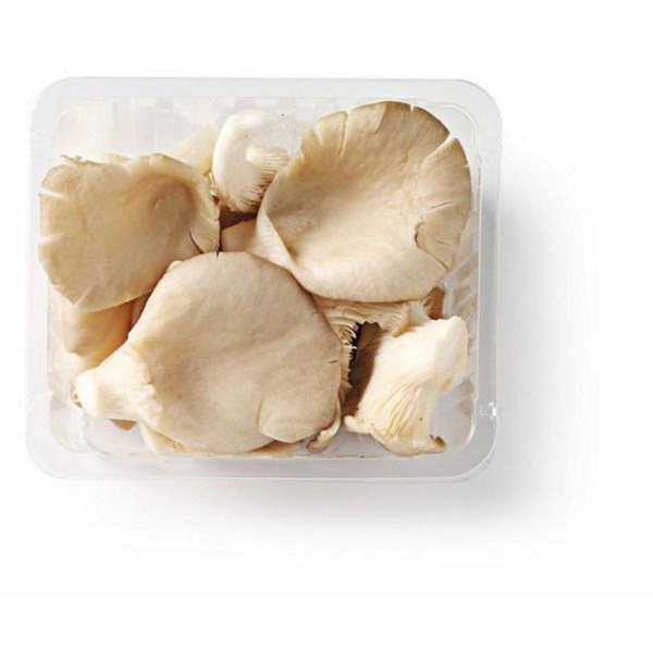 paddenstoelen oesterzwam voorkant