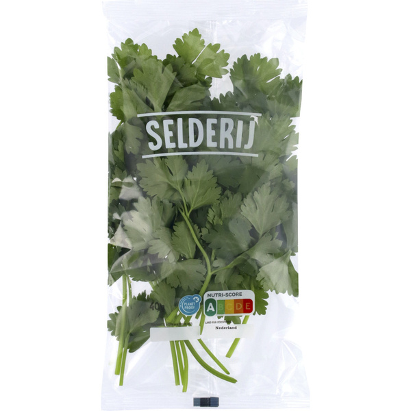 Selderij 40 gram voorkant