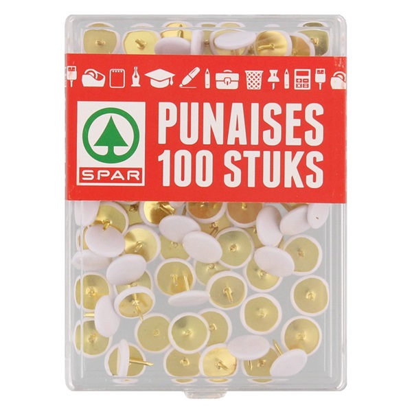 Spar Lezen En Schrijven Punaises voorkant